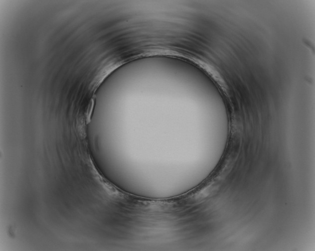 X0000097510905200803071822