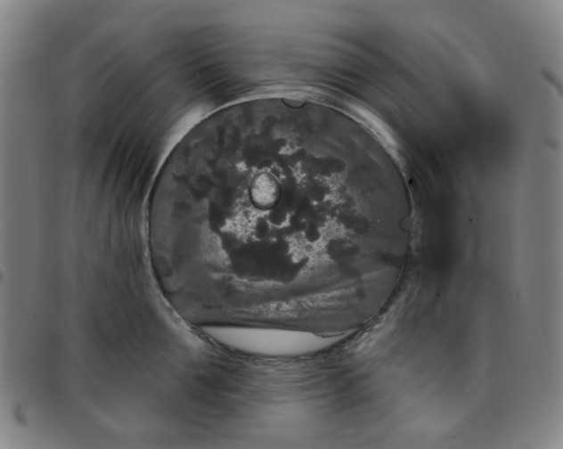 X0000097510907200803071822