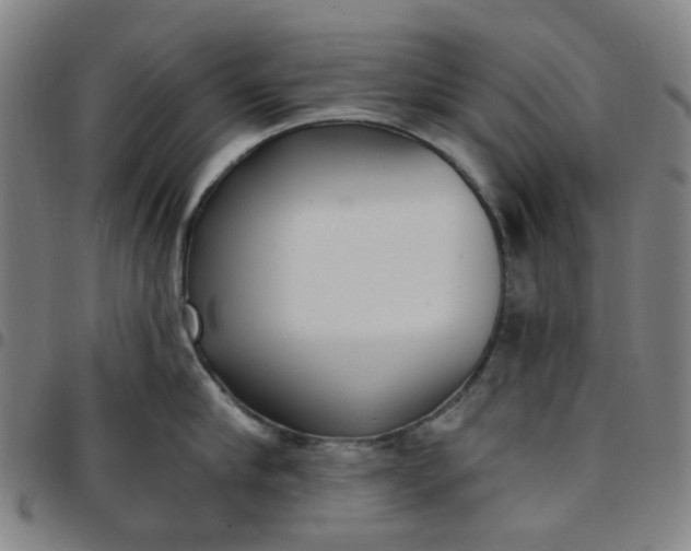 X0000097510910200803071821