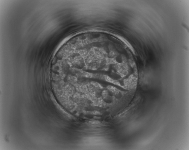 X0000097510911200803071821