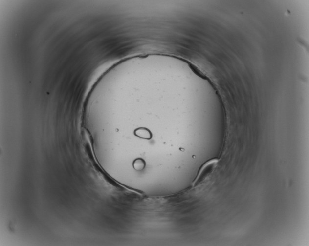 X0000097510912200803071821