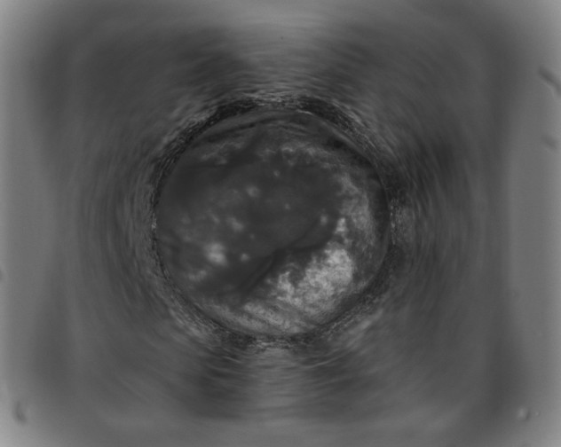 X0000097510913200803071821