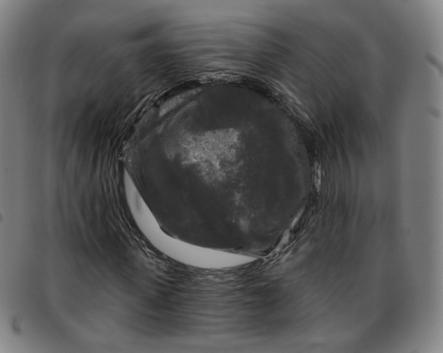 X0000097510915200803071821