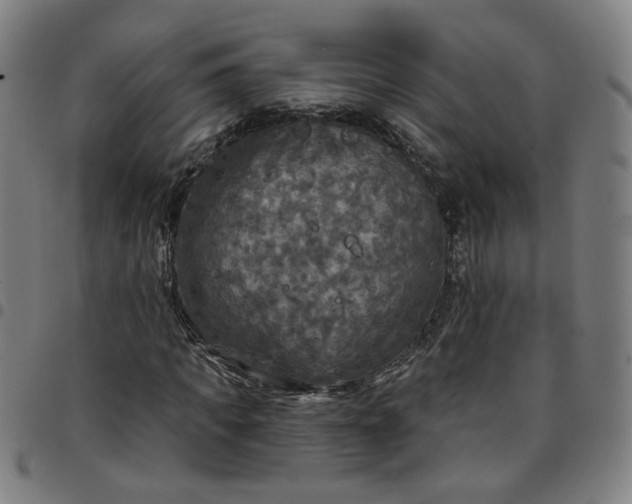 X0000097510917200803071821