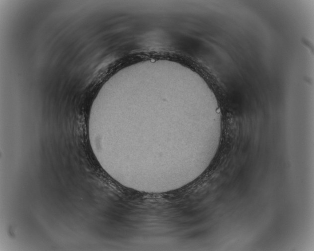 X0000097510918200803071821