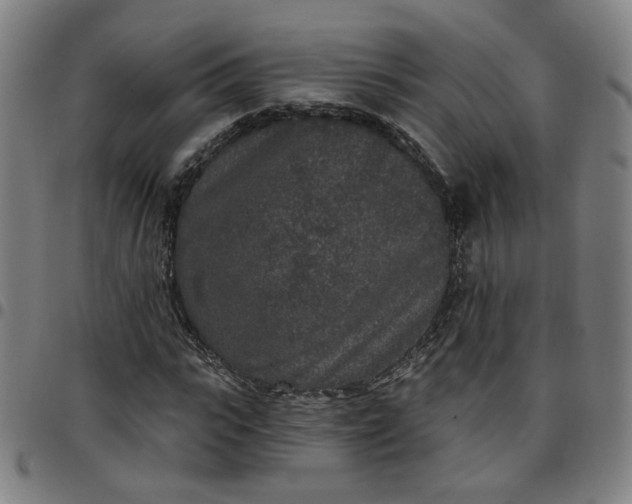 X0000097510919200803071821