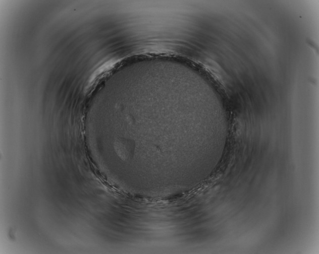 X0000097510920200803071821