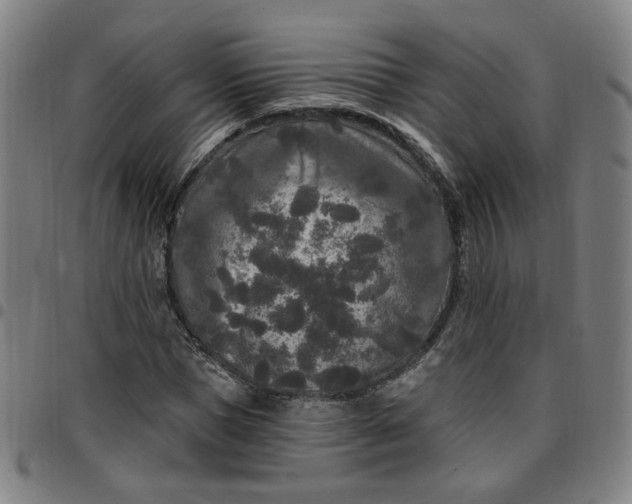 X0000097510921200803071821