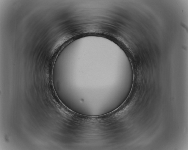 X0000097510922200803071821