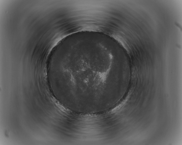 X0000097510923200803071821