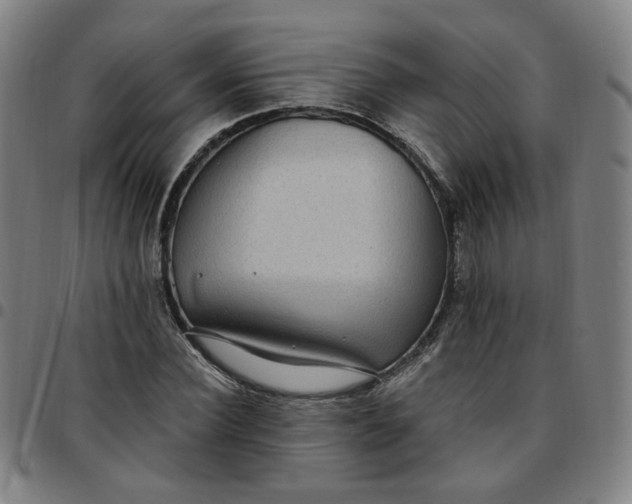 X0000097510924200803071821