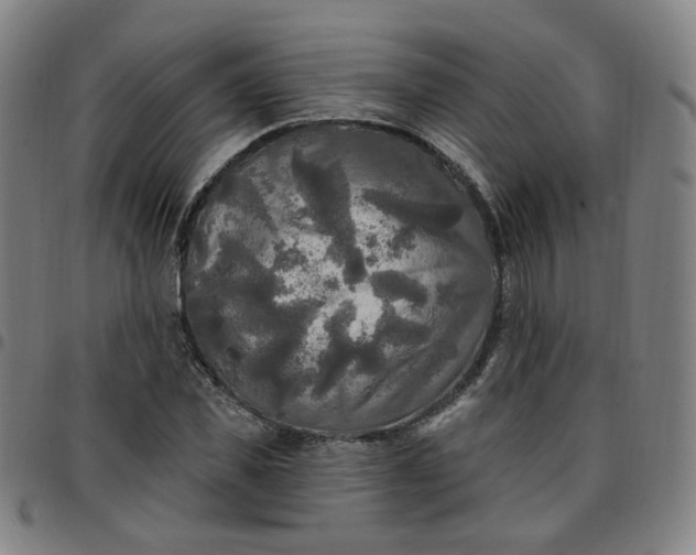 X0000097510925200803071821