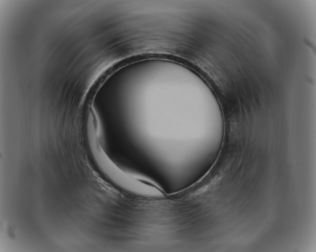 X0000097510926200803071821