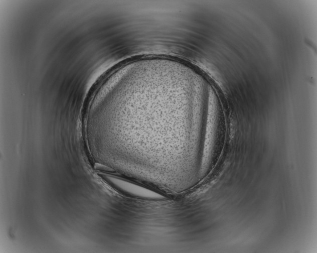 X0000097510928200803071821