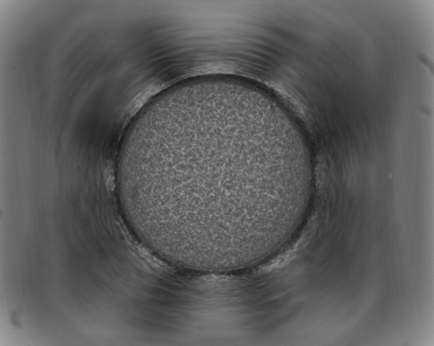 X0000097510929200803071821