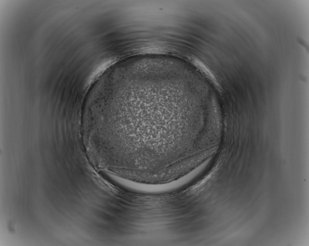 X0000097510930200803071821