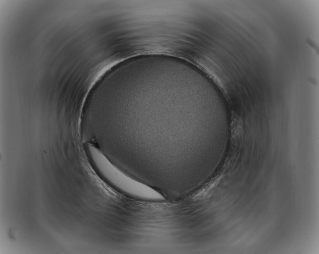 X0000097510932200803071821