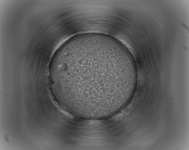 X0000097510933200803071821