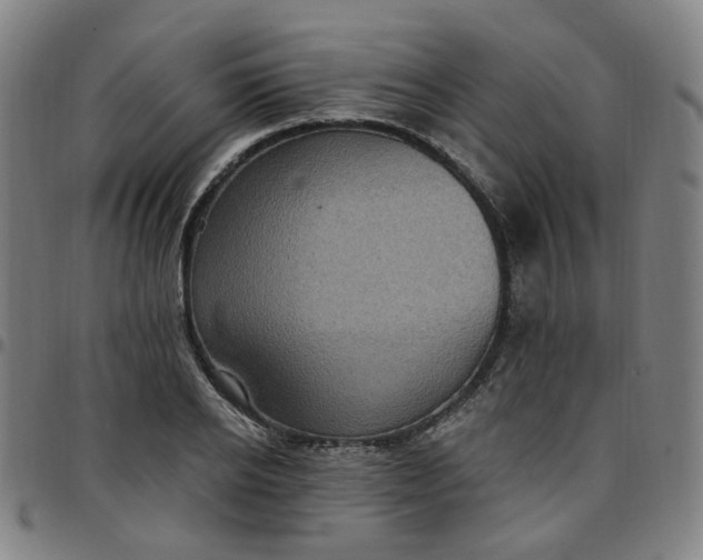 X0000097510934200803071821