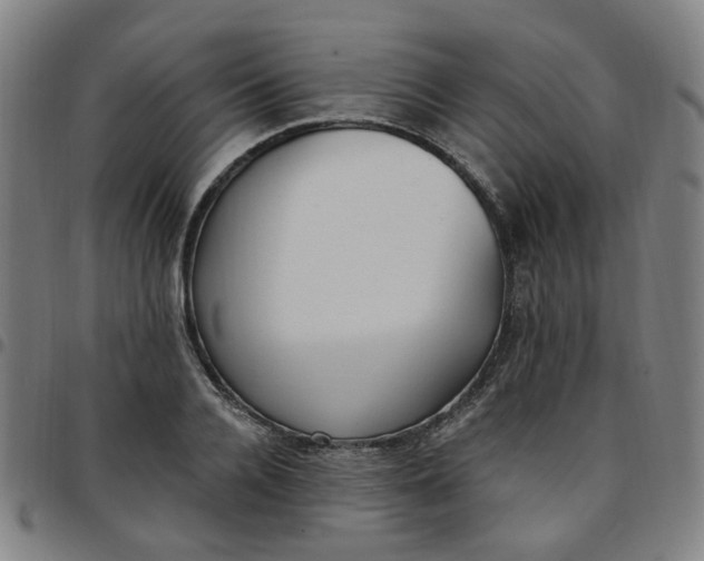 X0000097510936200803071821