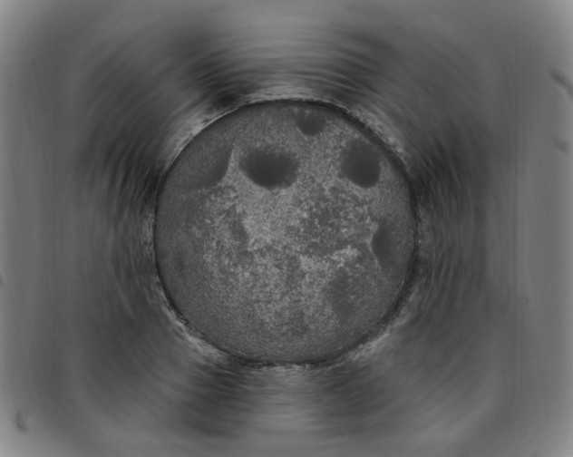 X0000097510937200803071821