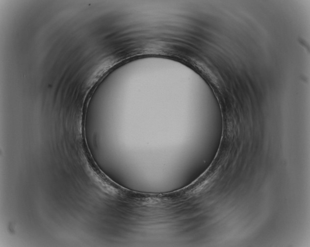 X0000097510938200803071821