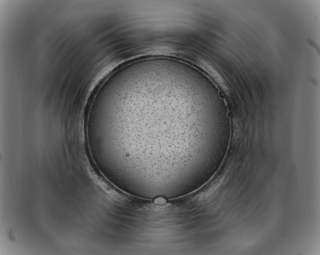 X0000097510939200803071821