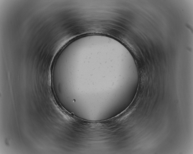 X0000097510940200803071821