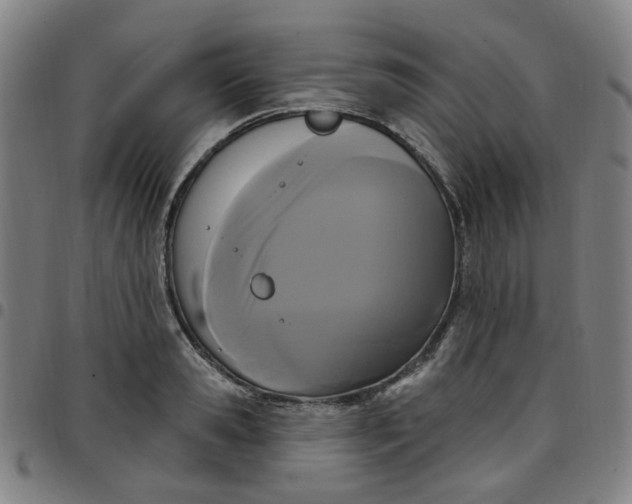 X0000097510941200803071821