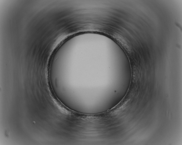 X0000097510942200803071821