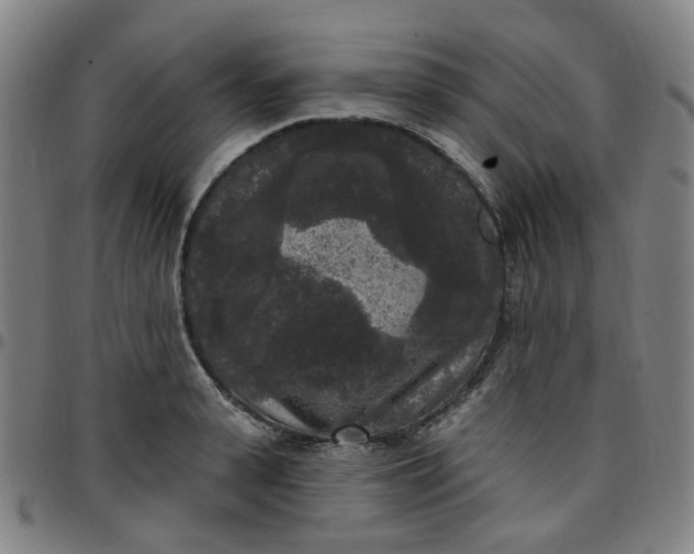 X0000097510943200803071821