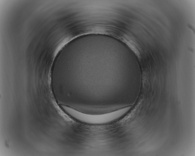 X0000097510944200803071821