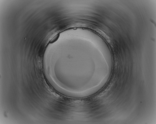 X0000097510945200803071821