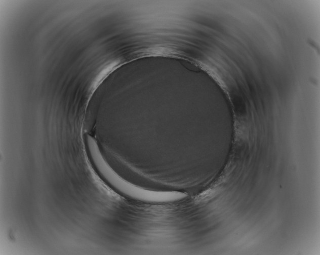 X0000097510946200803071821