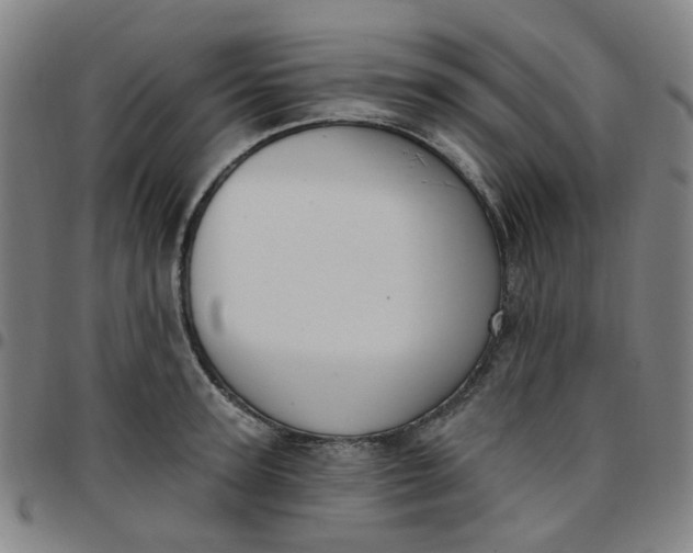 X0000097510947200803071821