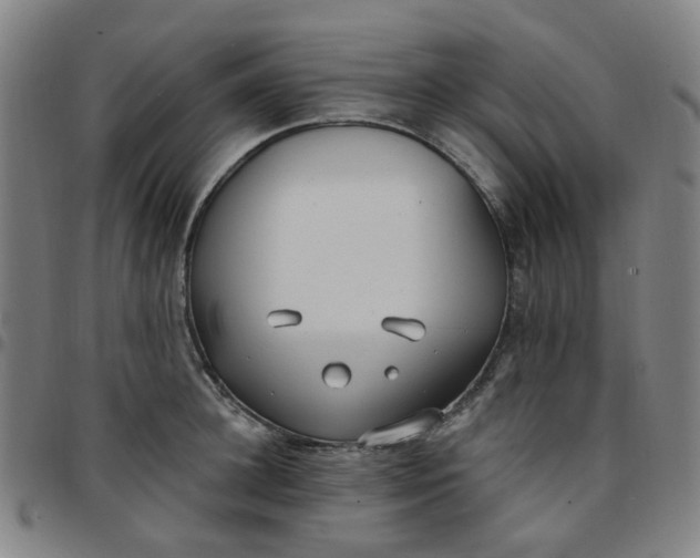 X0000097510948200803071821