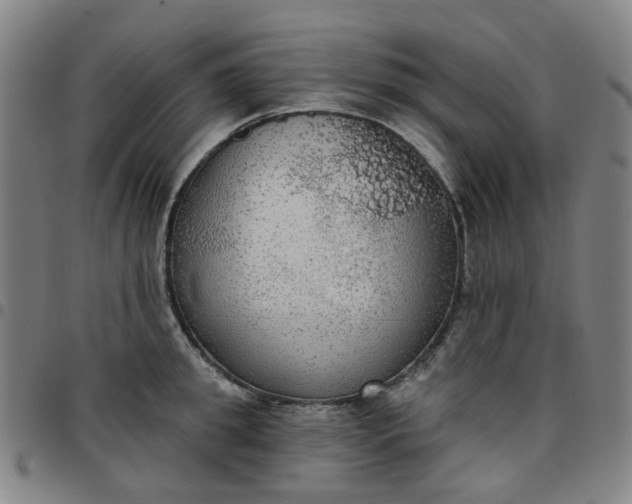 X0000097510949200803071821