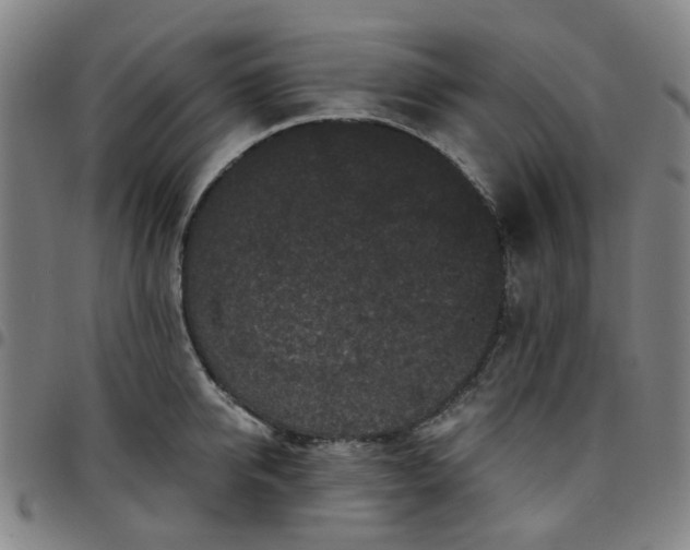 X0000097510950200803071821