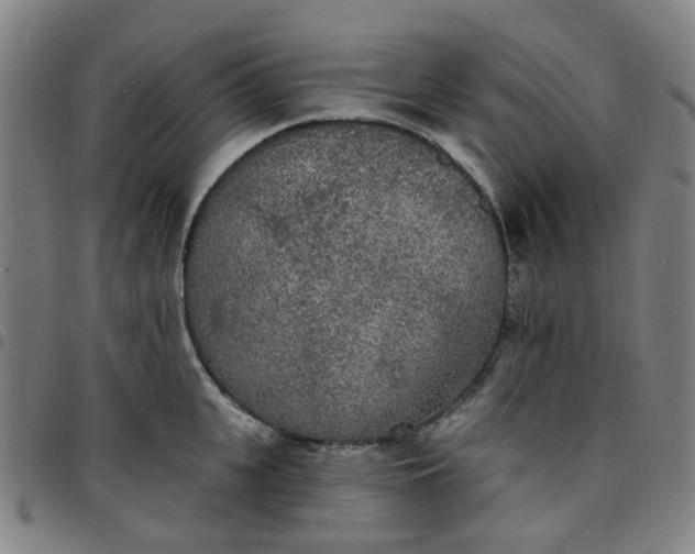 X0000097510951200803071821