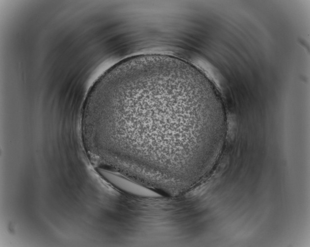 X0000097510952200803071821