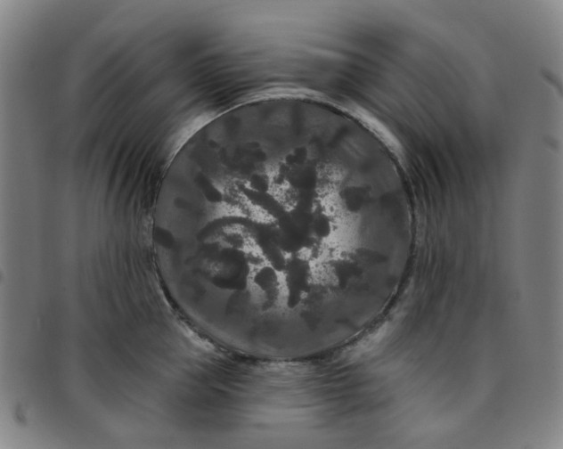 X0000097510953200803071821