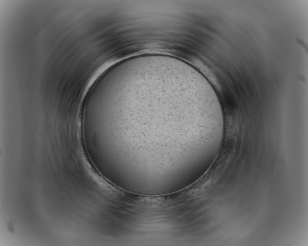 X0000097510955200803071821