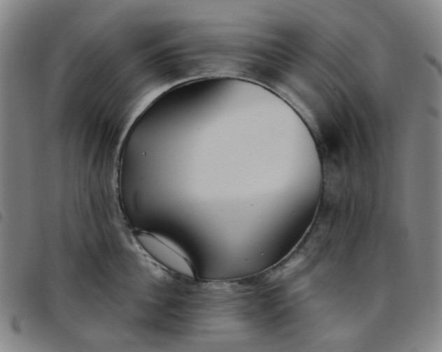 X0000097510956200803071821