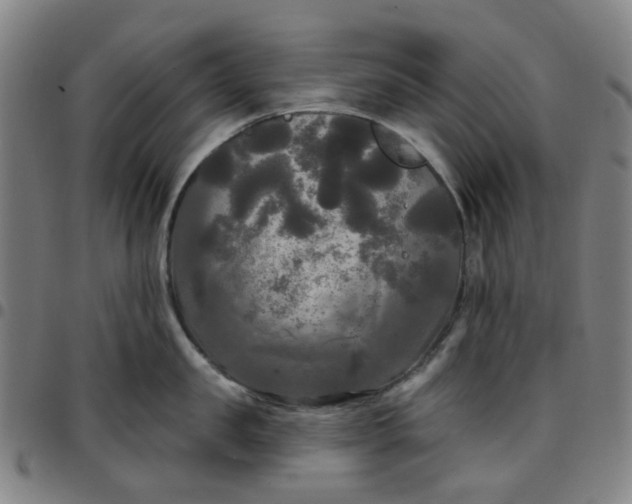 X0000097510957200803071821