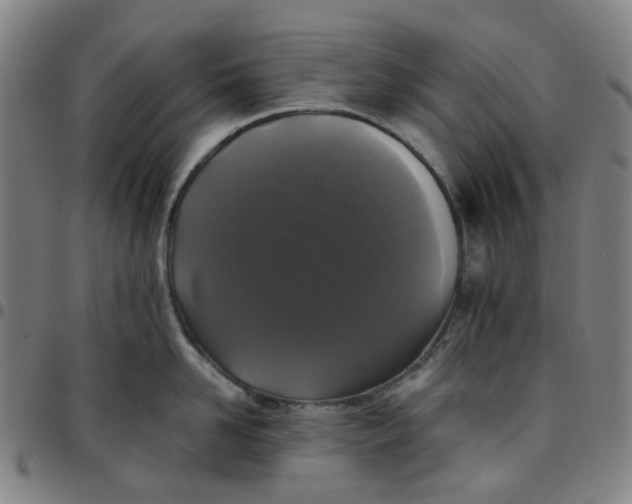 X0000097510958200803071821