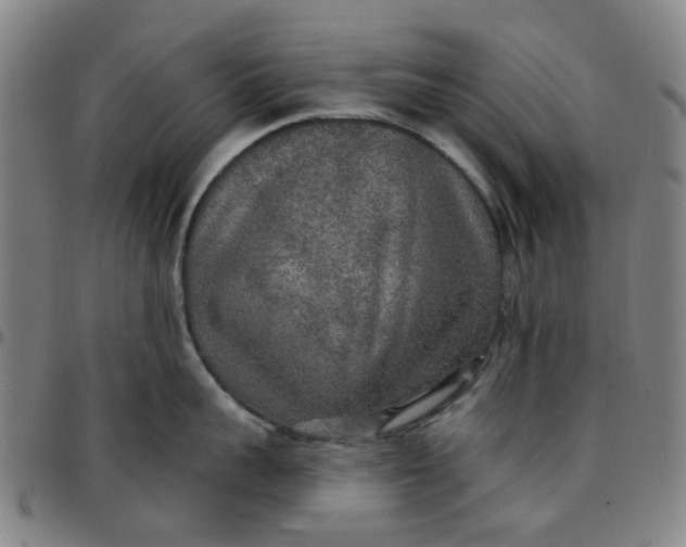 X0000097510959200803071821