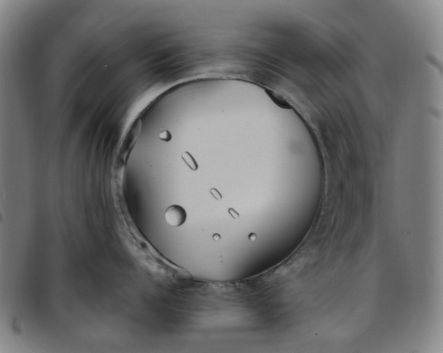 X0000097510960200803071821