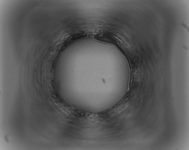 X0000097510961200803071821