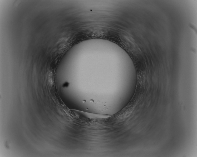 X0000097510962200803071821