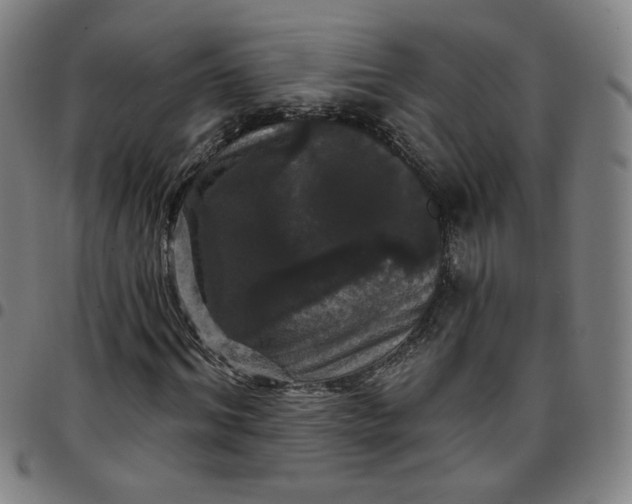 X0000097510964200803071821